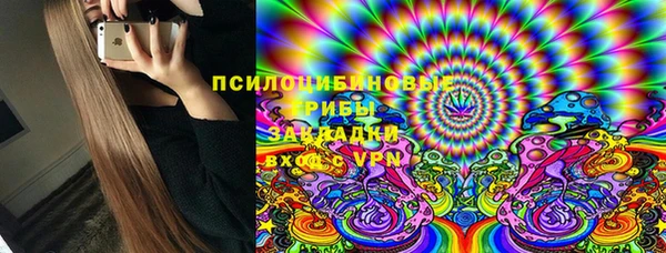 крисы Баксан