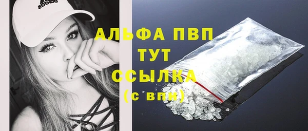 крисы Баксан