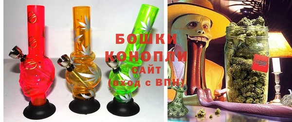 крисы Баксан